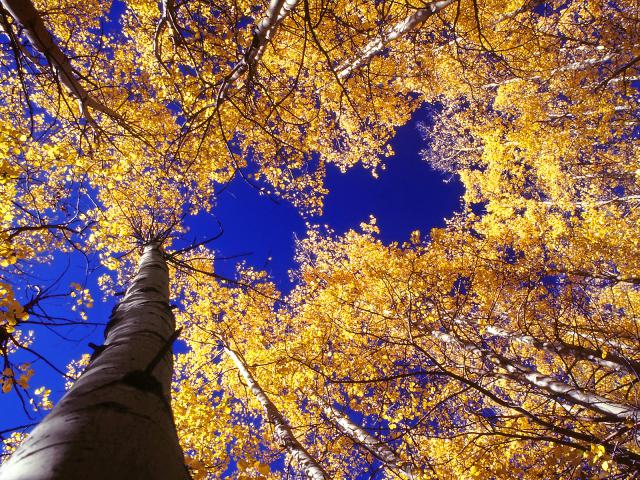 Aspen_Skyline