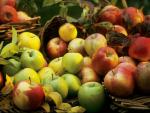 Assorted_Apples
