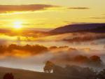 Low_Lying_Mist
