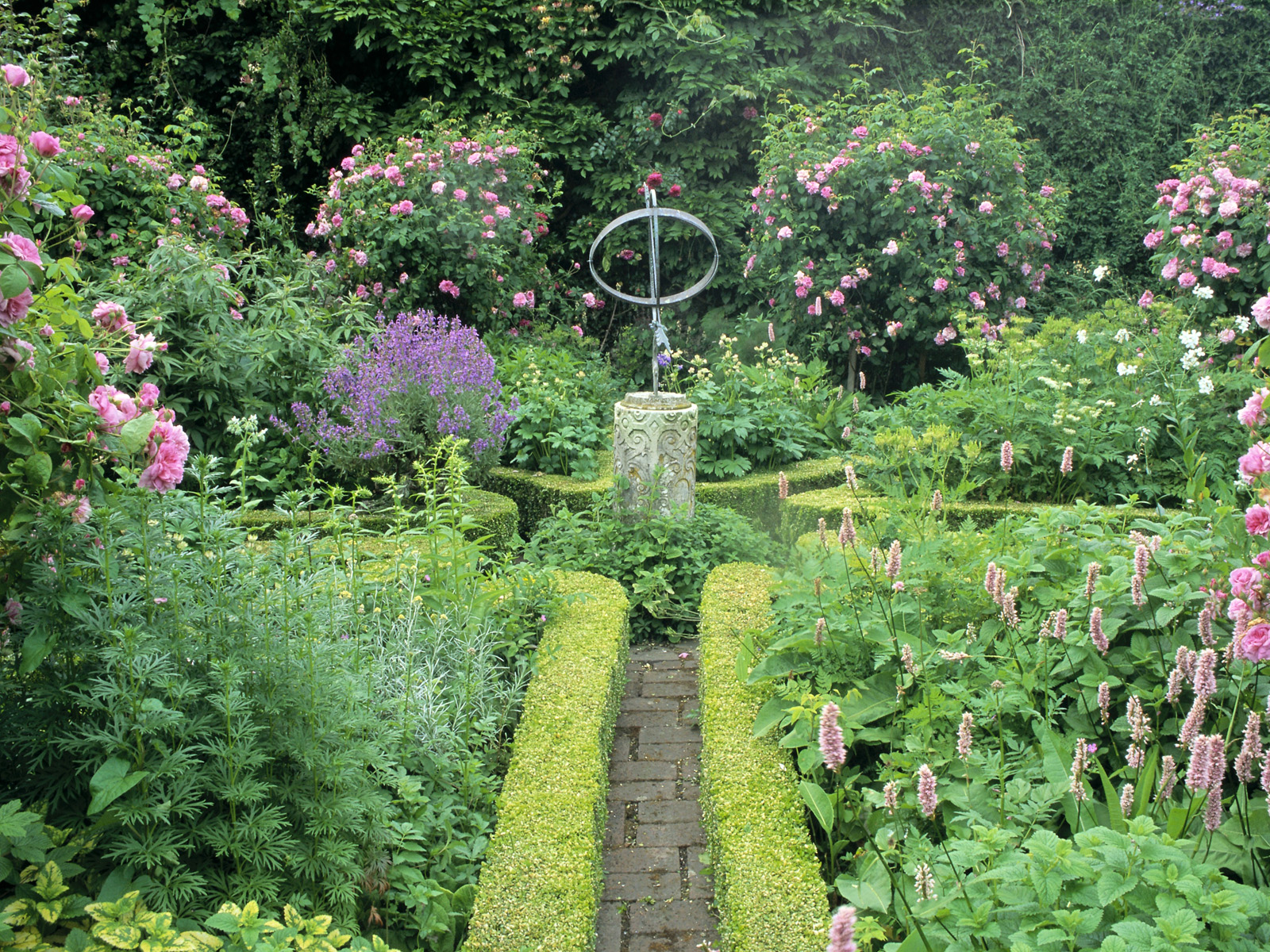 Rose_Garden_Alderney