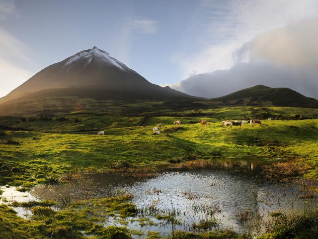 Volcano_Pico