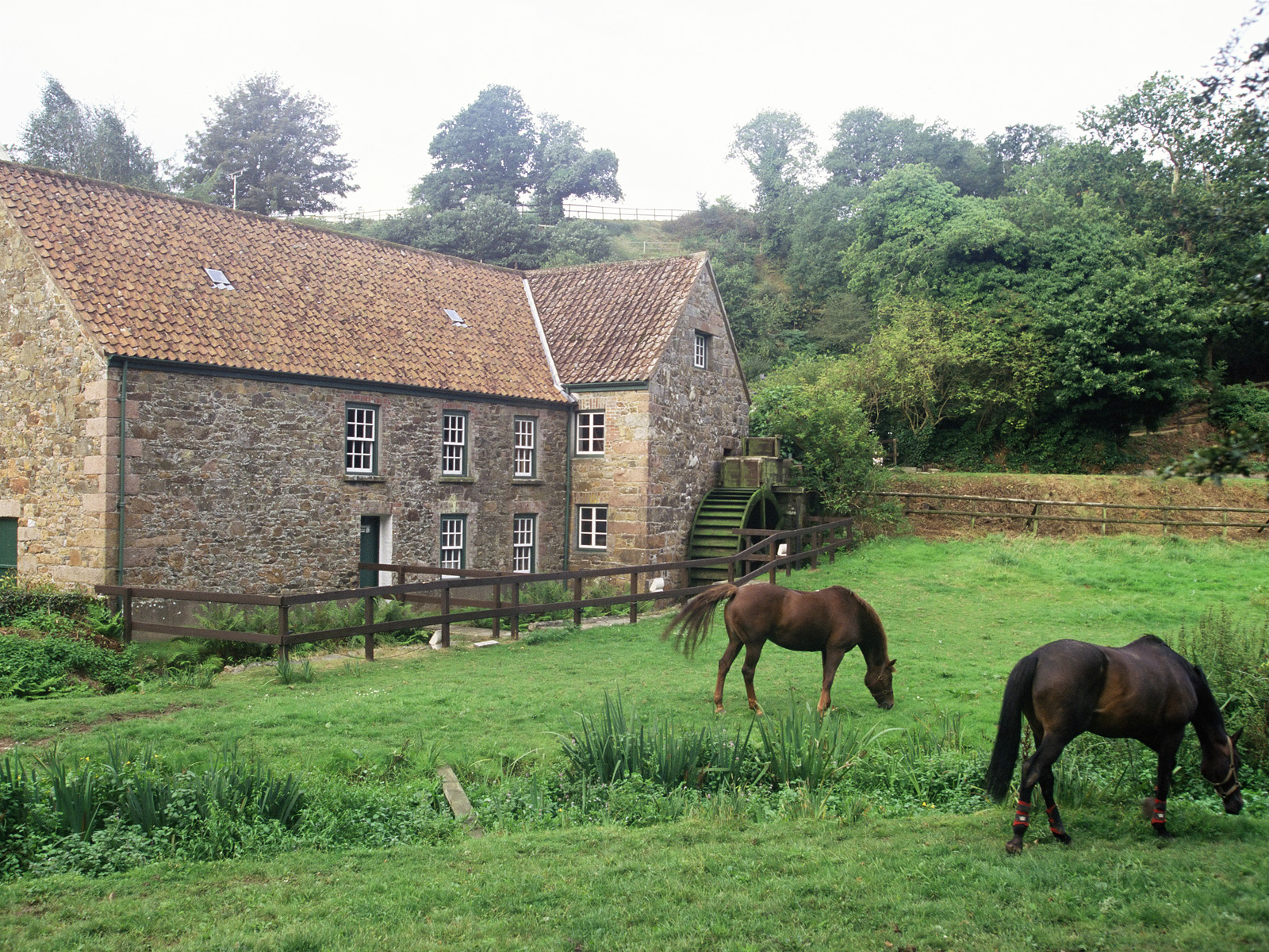 Water_Mill_on