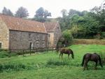 Water_Mill_on