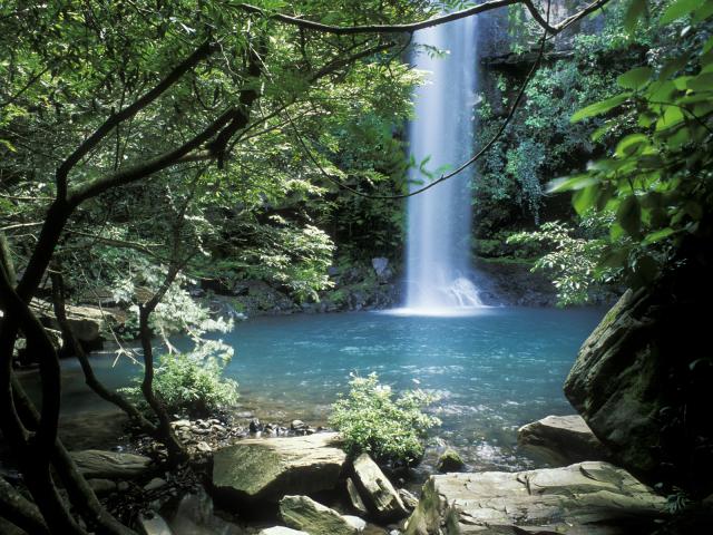 Rincon_de_la