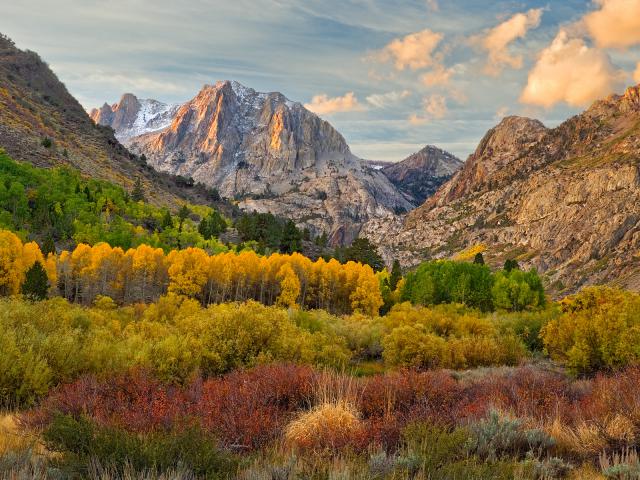 Autumn_Harmony