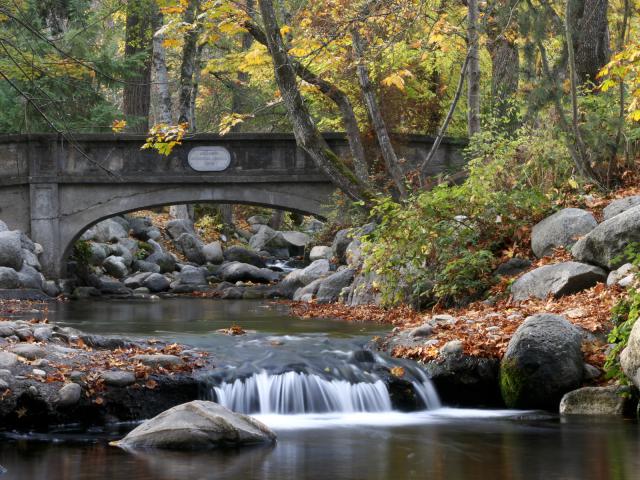Lithia_Park_Bridge