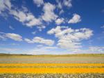 Prairie_Road_Montana