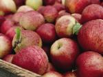 Red_Apples