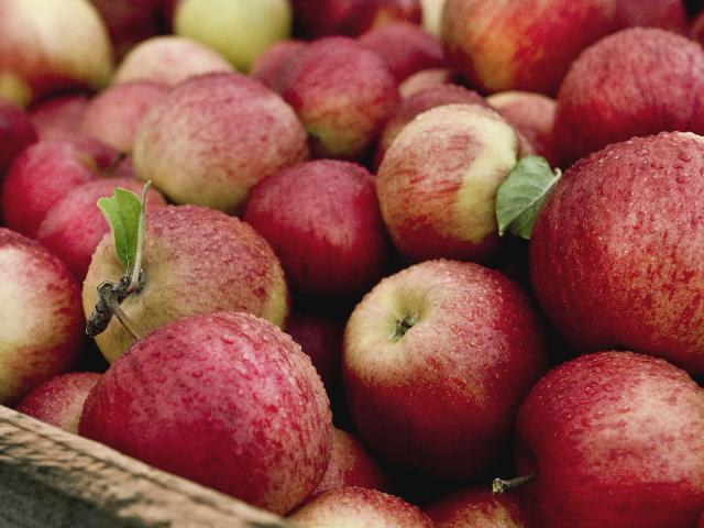 Red_Apples