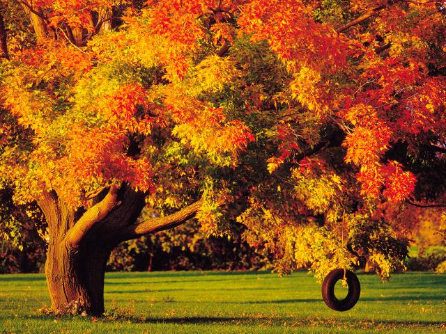 Tire_Swing_in_Autumn