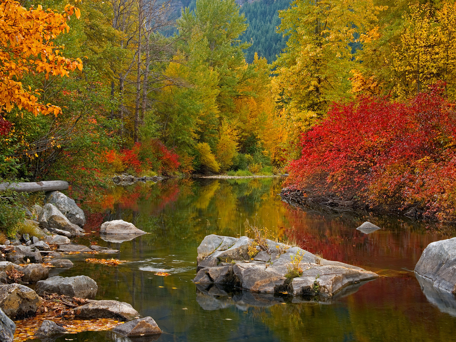 Nason_Creek_Stevens