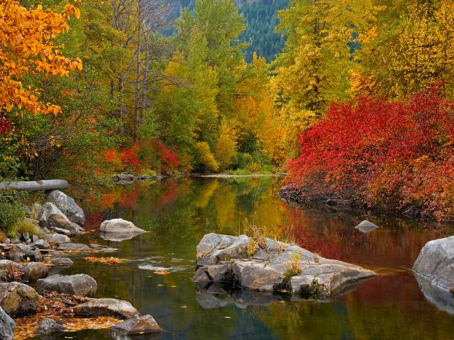 Nason_Creek_Stevens
