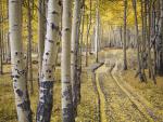 Quaking_Aspens_San