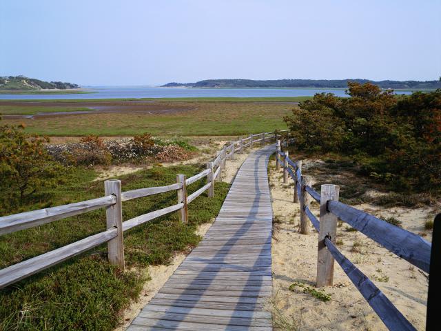 Boardwalk_Along