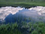 Clouds_Reflected_in