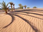 Draa_Valley_Morocco
