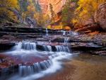Arch_Angel_Falls