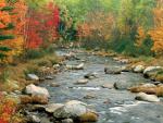 Autumn_Color_02