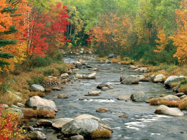 Autumn_Color_02