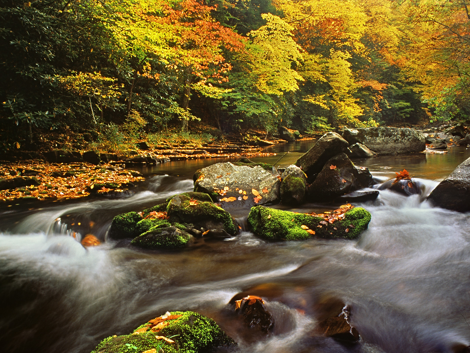 Autumn_Flow_North
