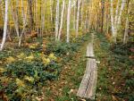 Boardwalk_Sieur_de