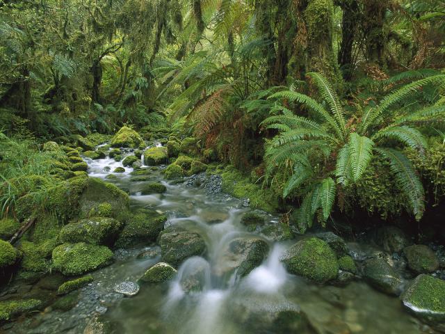 Fjordland_New_Zealand