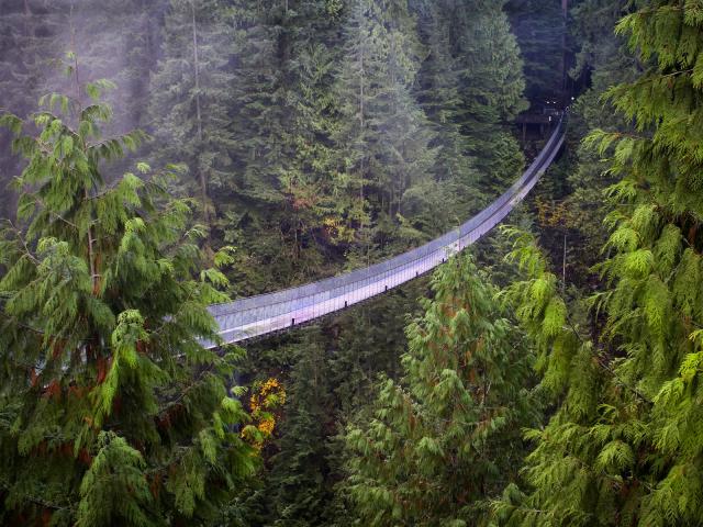 Capilano_Suspension