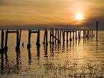 Sunset_Pier_Florida