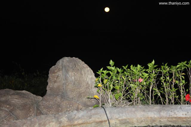 waphukaew12_298