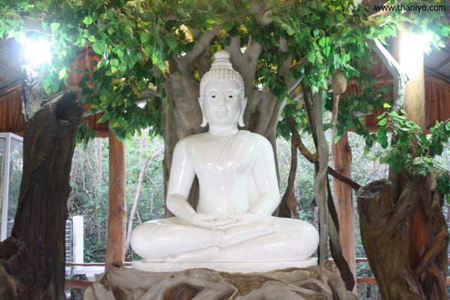 waphukaew12_310