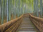 Bamboo_Nembutsu-ji_Temple