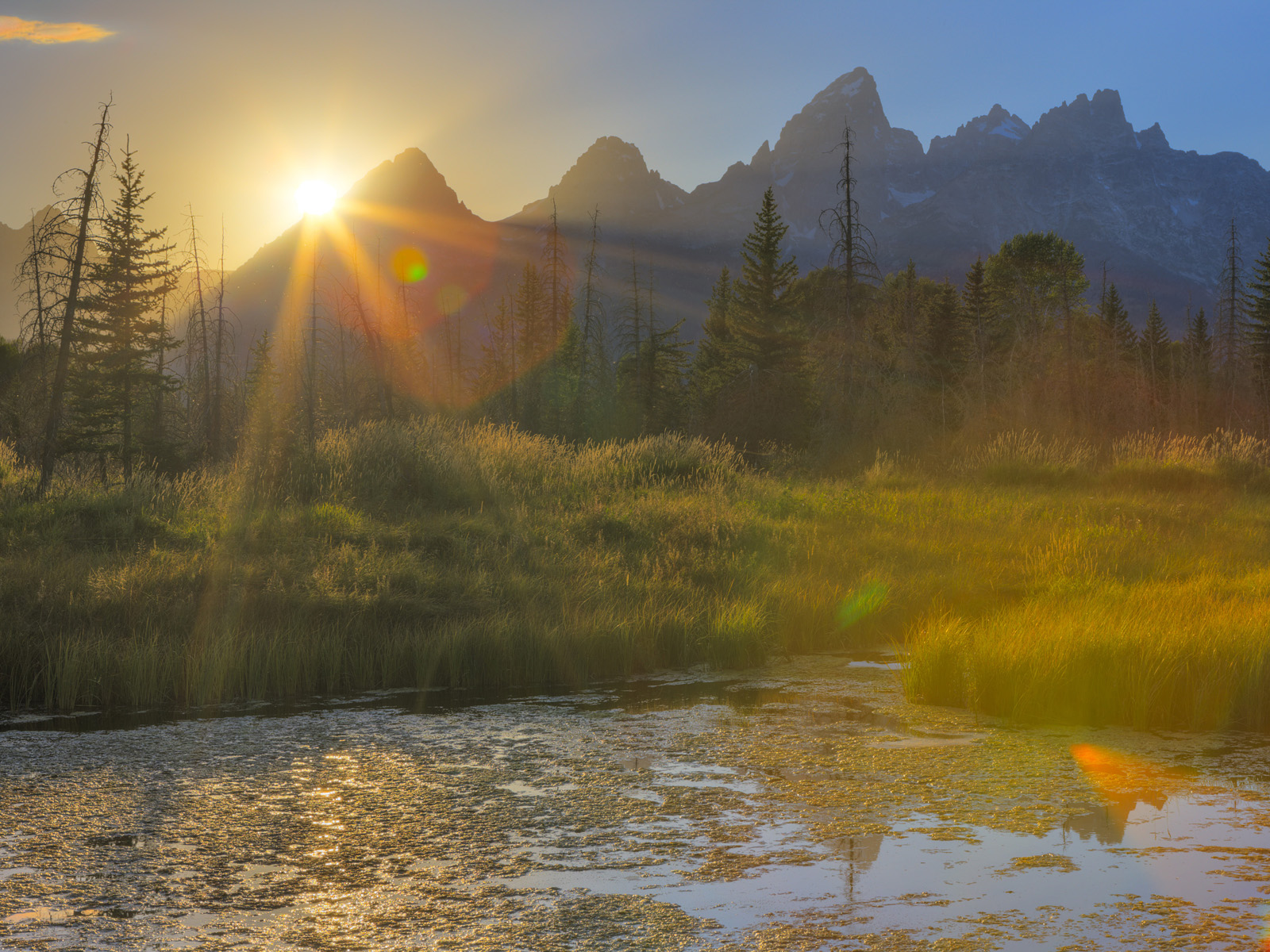 Beaver_Pond