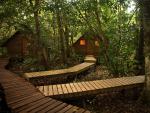 Bungalows_Jungle
