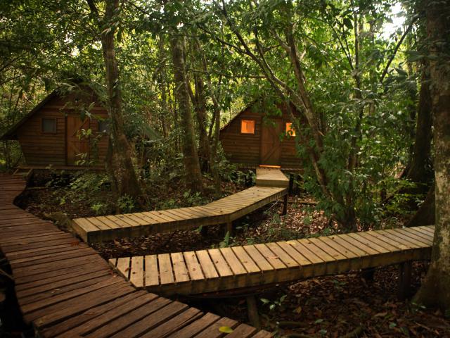 Bungalows_Jungle