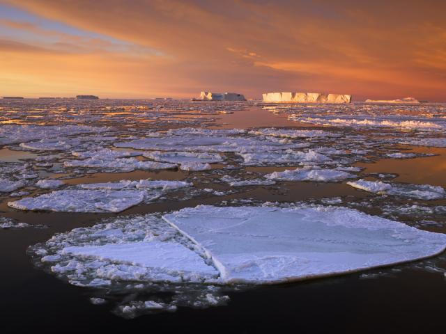 Drifting_Pack_Ice