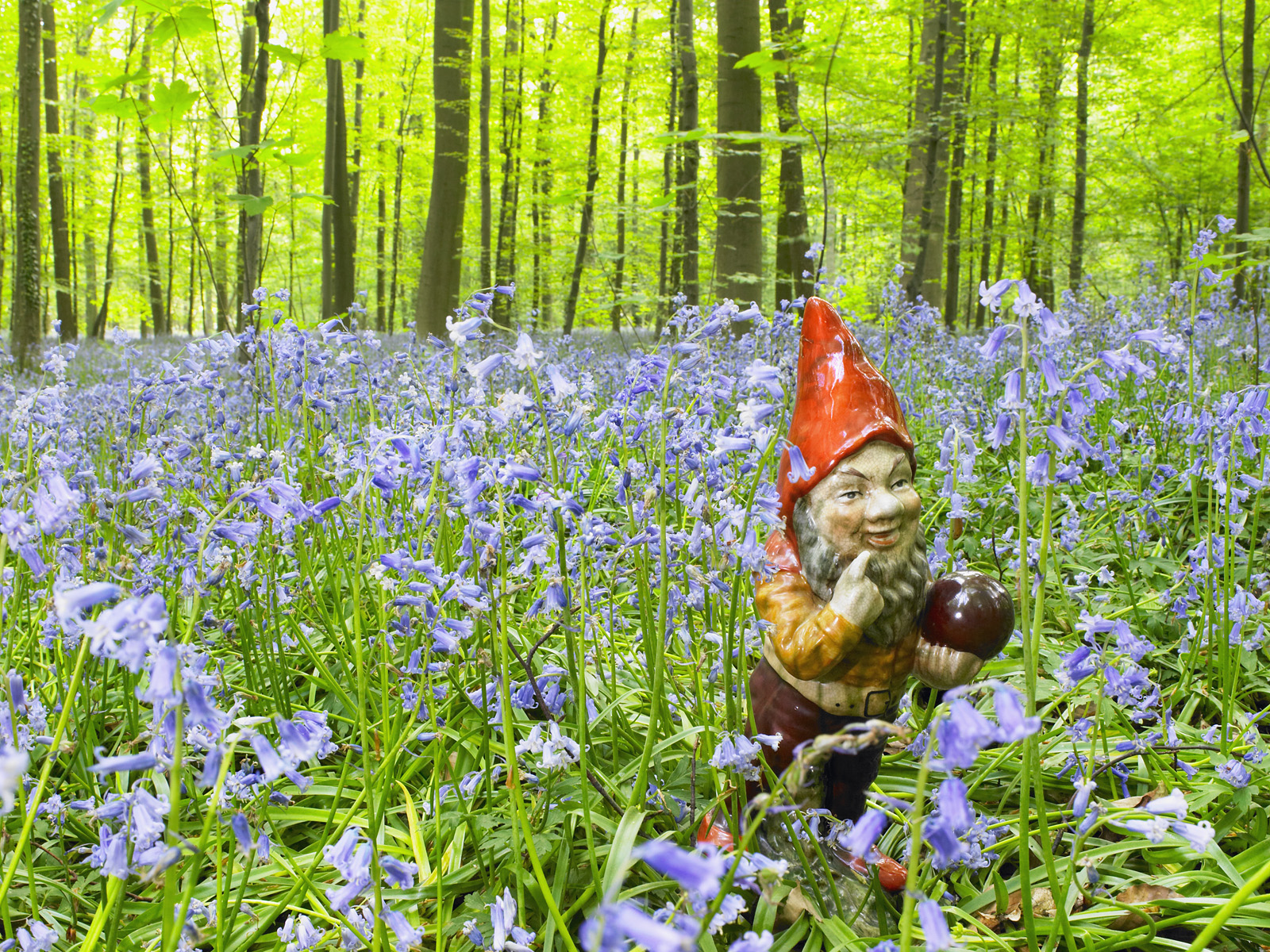 Garden_Gnome