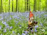 Garden_Gnome