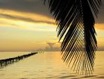 Isla_de_la