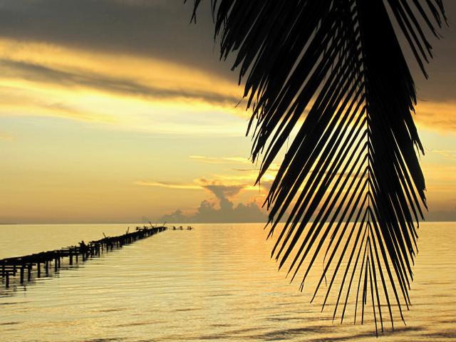Isla_de_la