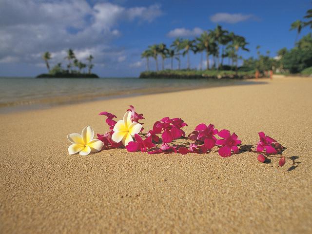 Polynesian_Paradise