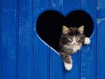 Thinking_of_You