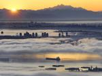 Fog_Envelopes