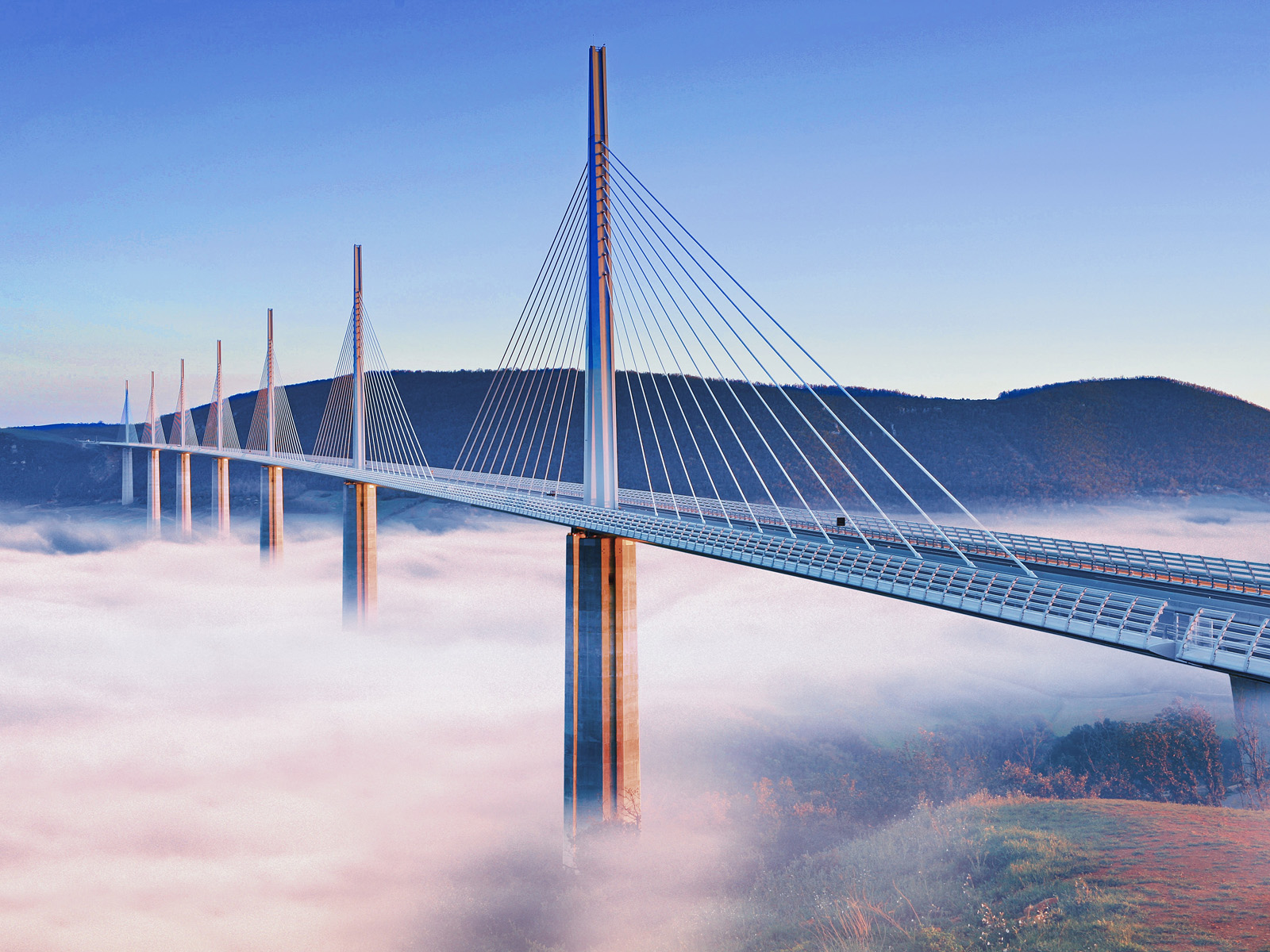 Fog_Under