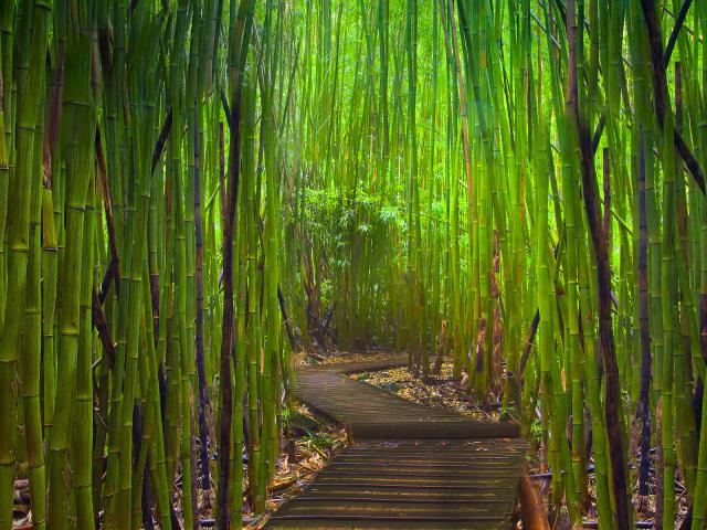 Gateway_of_Light