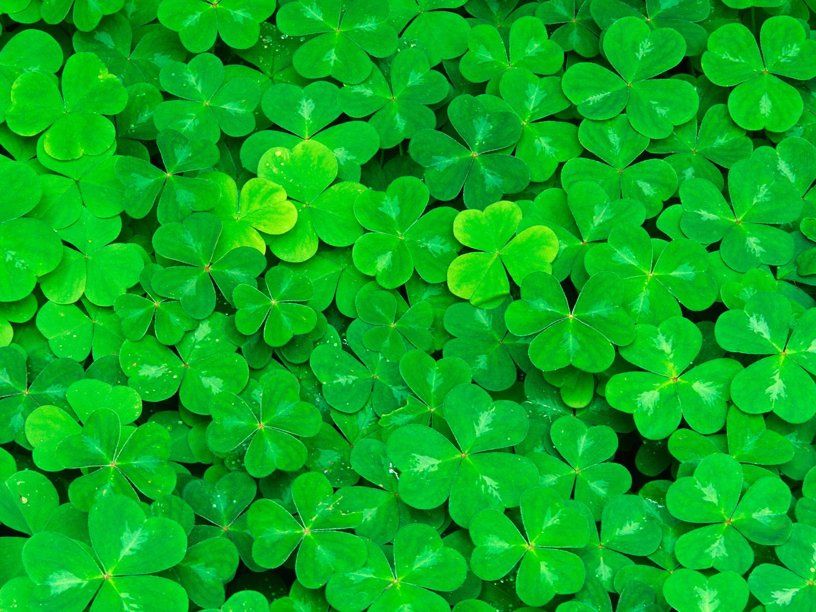 _Luck