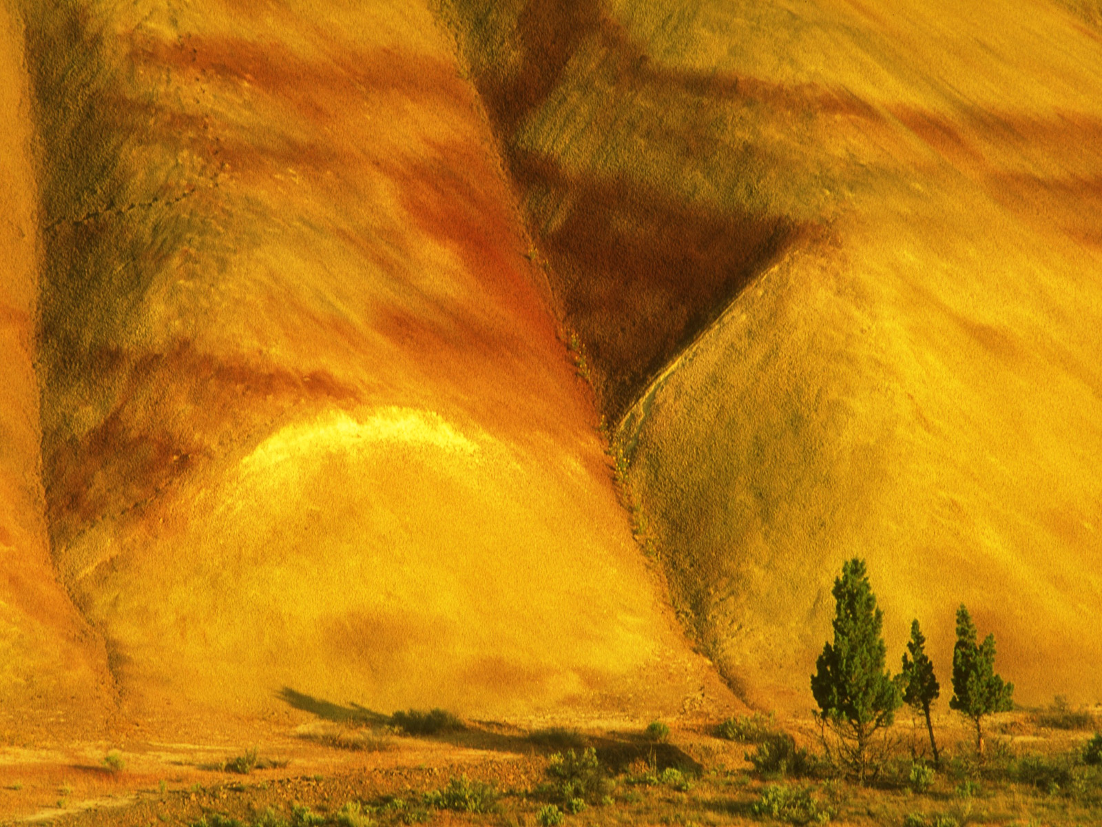 Painted_Hills_John