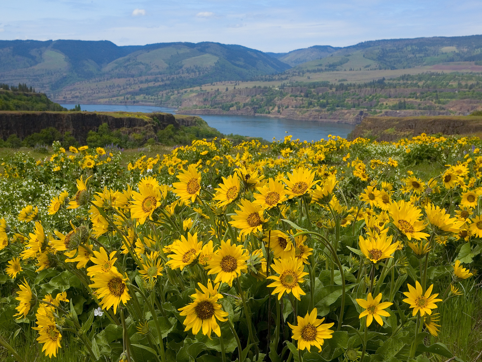 Painted_Hills_Oregon