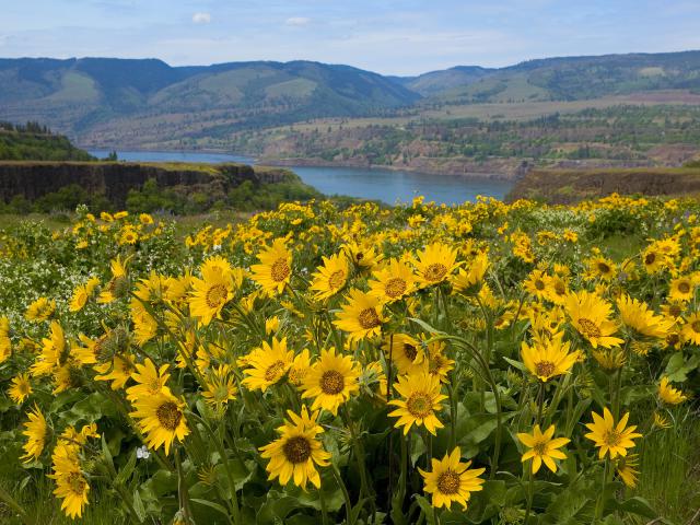 Painted_Hills_Oregon