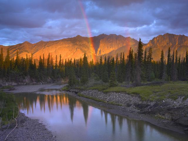 Rainbow_02