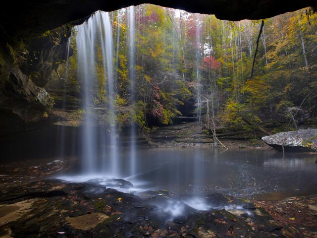Sipsey_Wilderness